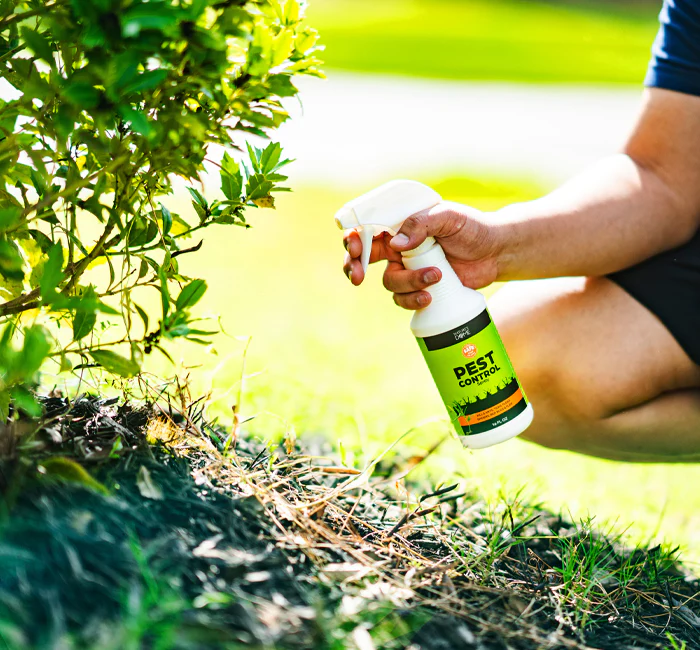 Natural Pest Control Spray