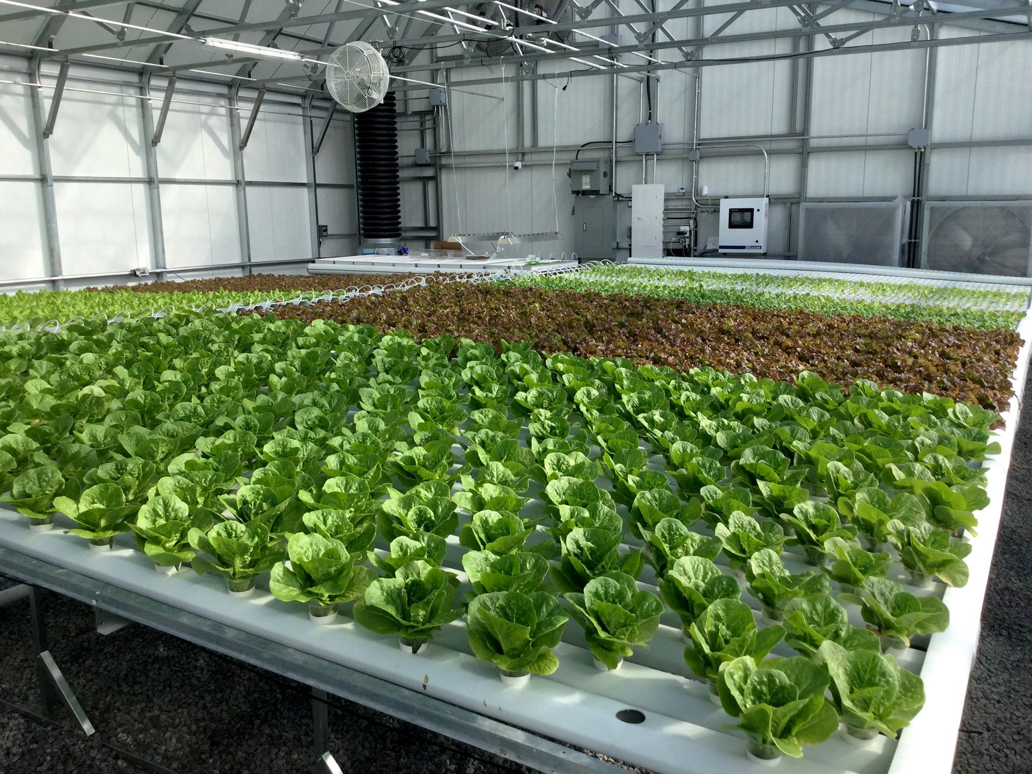 Commercial Integrated Greenhouse