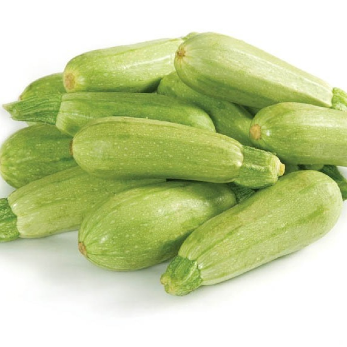 كوسا صغيرة طازجة