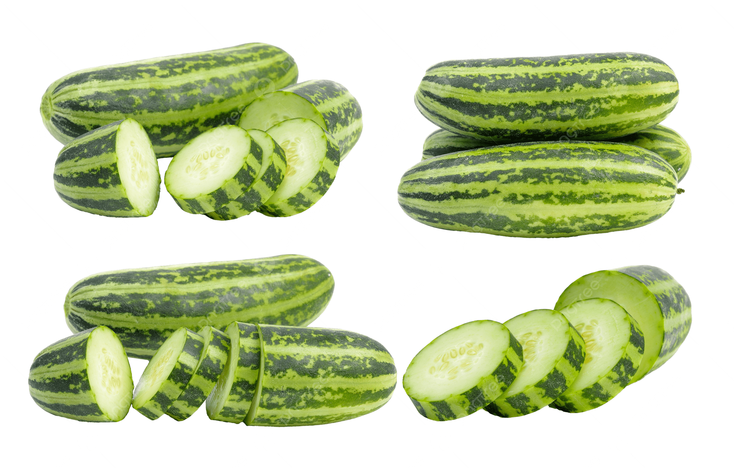 خيار مخطط للسلطات