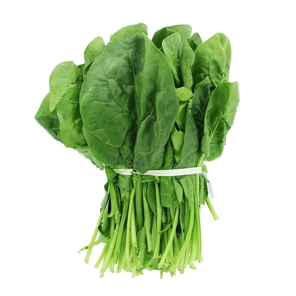 سبانخ صغيرة طازجة