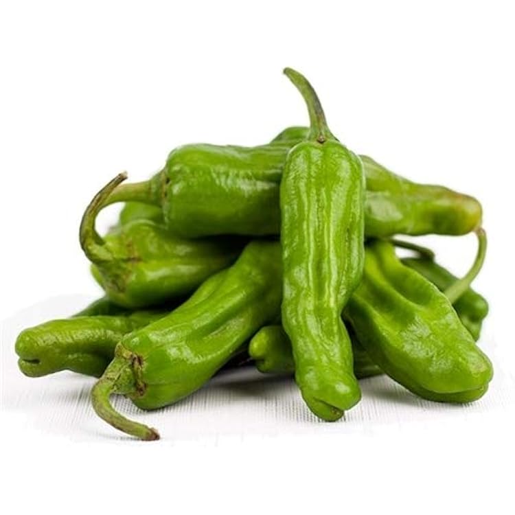 فلفل شيشيتو طازج