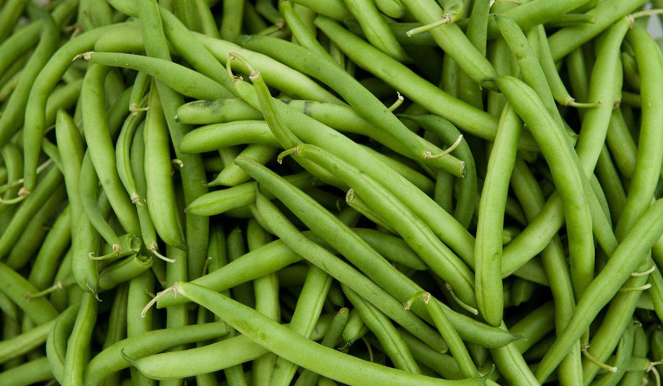 فاصوليا خضراء