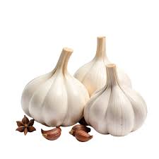 رؤوس ثوم طازجة